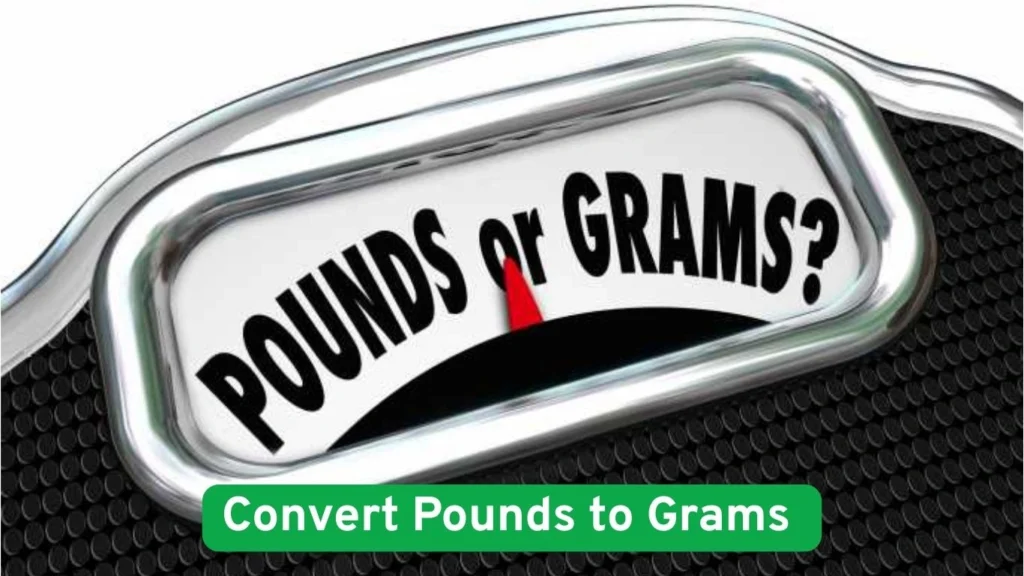 Convert Pounds to Grams 
