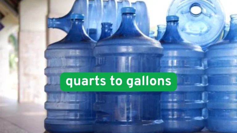 Side-by-side image of a quart and gallon container used in the kitchen